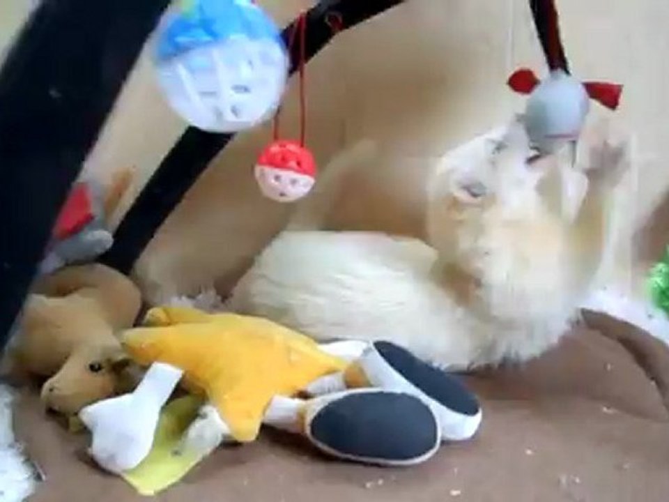 Elliot