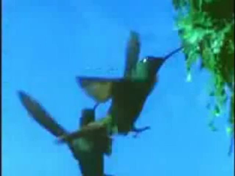 Savaş Özkök göz üstünde kalem kaş