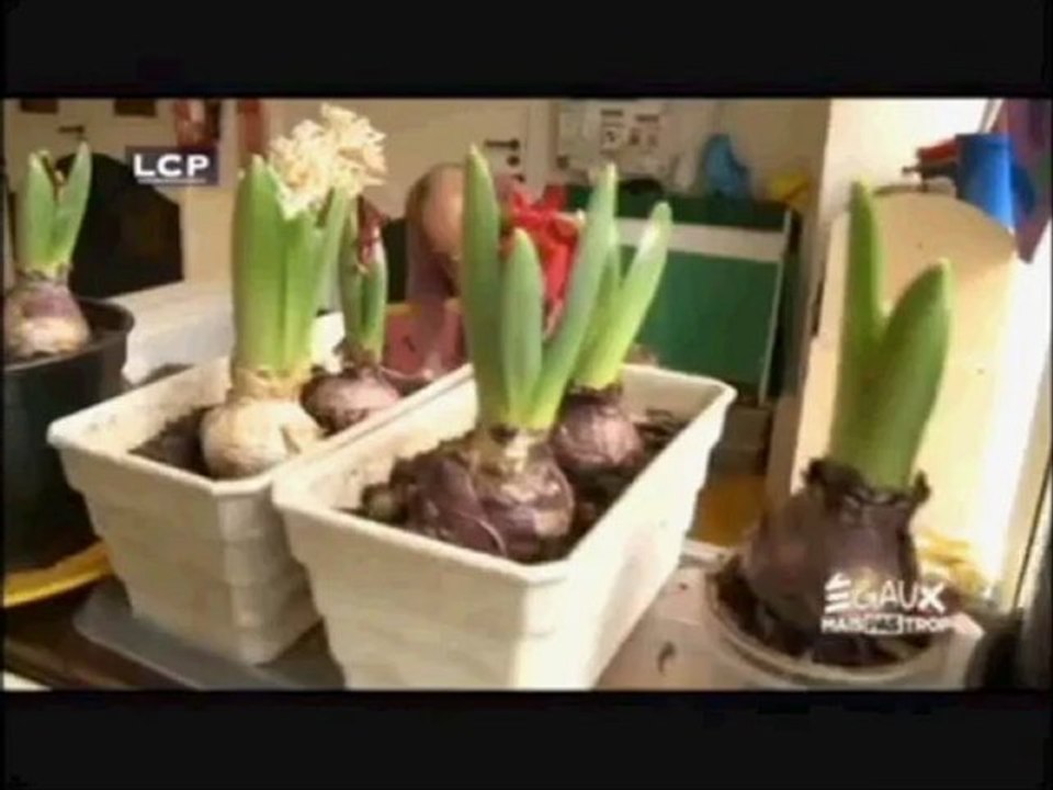 les filles plantent des cloux