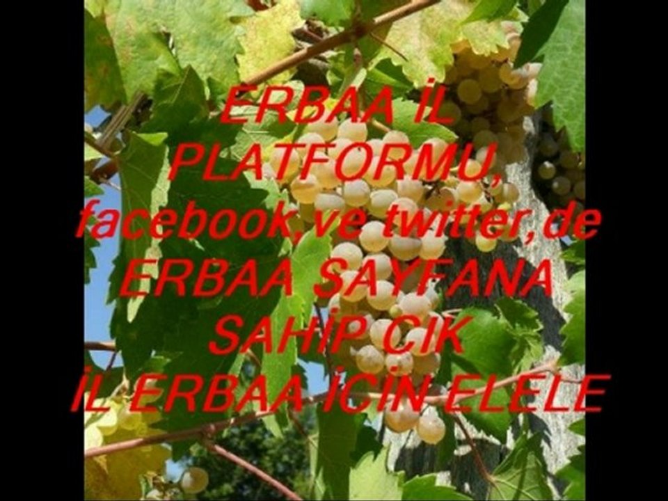 https://www.facebook.com/ERBAAnerdesinERBAA?ref=stream