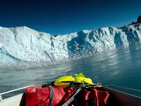 Ours polaires - Banquise en péril ( bande-annonce )