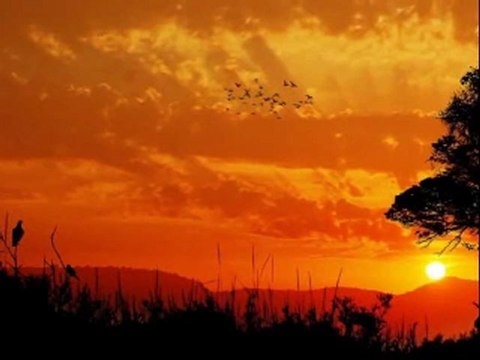 Göksel Baktagir-Aşk Masalı