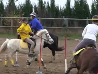 Concours Orliénas 25 nov. 2012