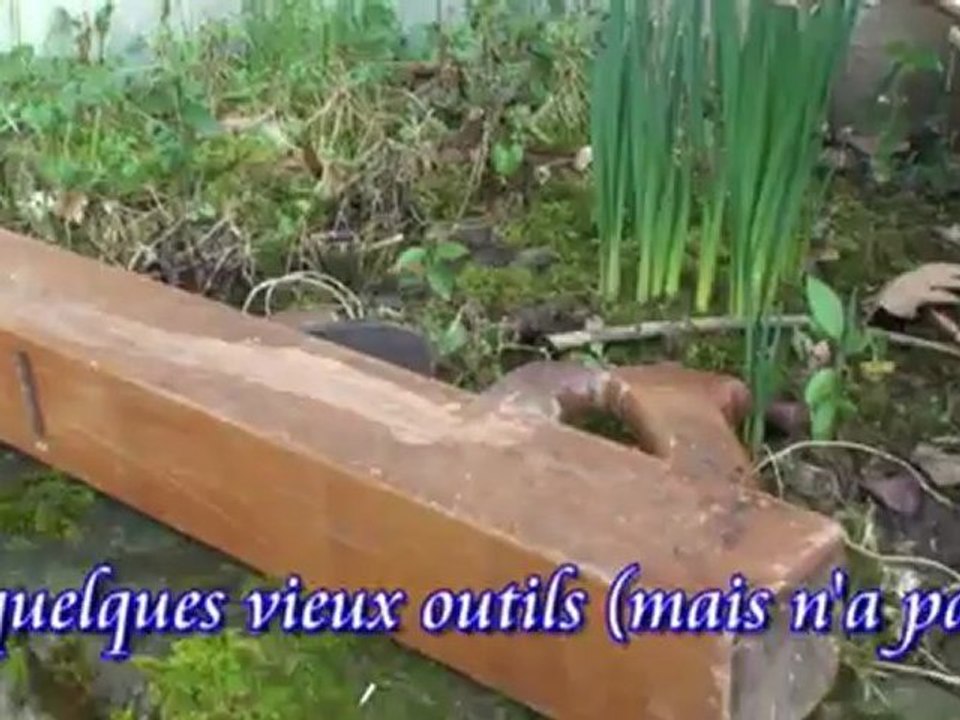 sph port ste foy DAZAT mpeg4