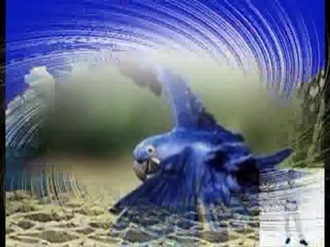 Cty sửa nhà,chống thấm tại quận 3 hcm call 0936 890 585