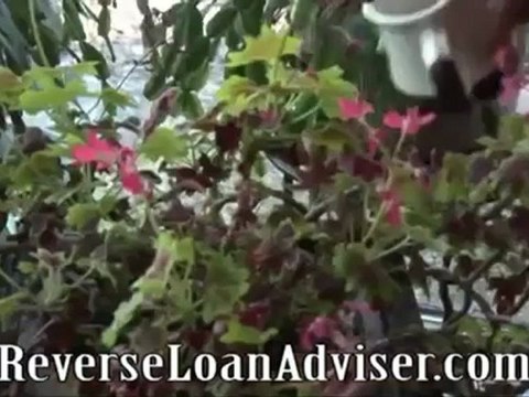 Reverse Mortgage Lenders, Interest Rates, Pros and Cons.