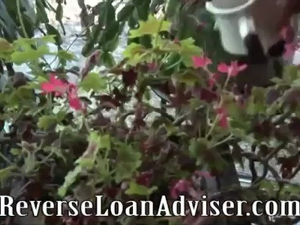 Reverse Mortgage Lenders, Interest Rates, Pros and Cons.