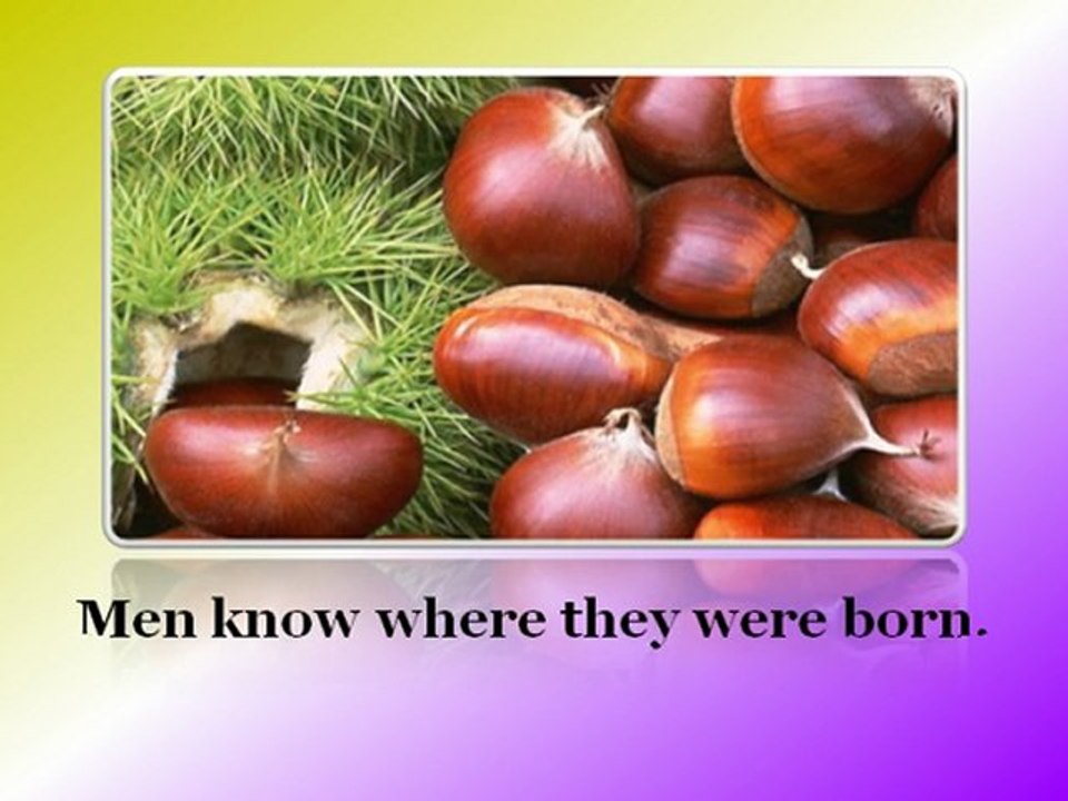 My hand reads my mind - 11 The sense of to be or not to be