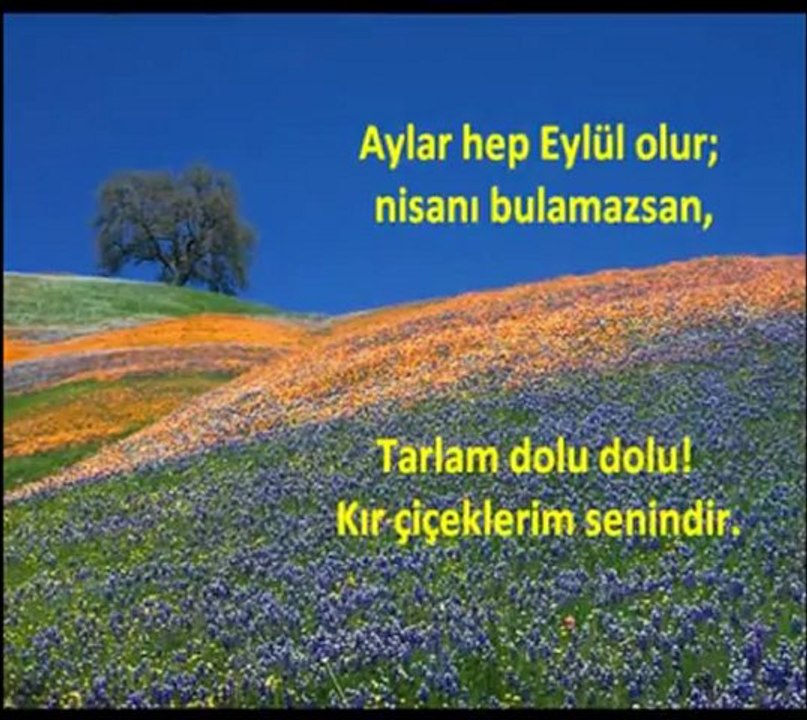 EY DOST...