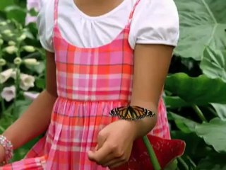 iOS 6 Boon for iPhone & iPad Fantastic Features That Make You More Advanced