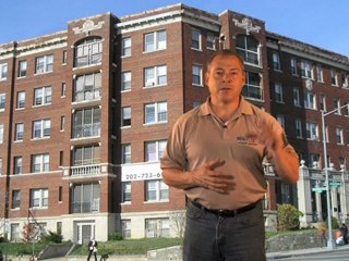 What does a Bedbug Detection Dog do?