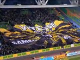 Nächster Sieg Vitesse! Roda ohne Chance