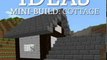 Fun Book Review: Minecraft House Ideas - Mini Build: Cottage by Just Steve