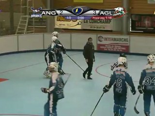 Coupe d'Europe 2012 : Angers - Anglet