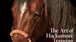 Crafts Book Review: The Art of Hackamore Training: A Time-Honored Step in the Bridle-Horse Tradition by Al Dunning, Benny Guitron