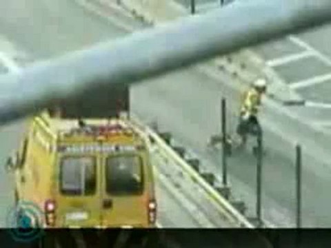 Chien risque sa vie pour sauver un autre chien