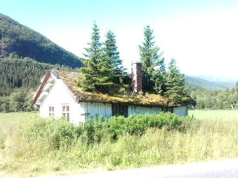 Skadedyr Nesttun Kram Skadedyrskontroll