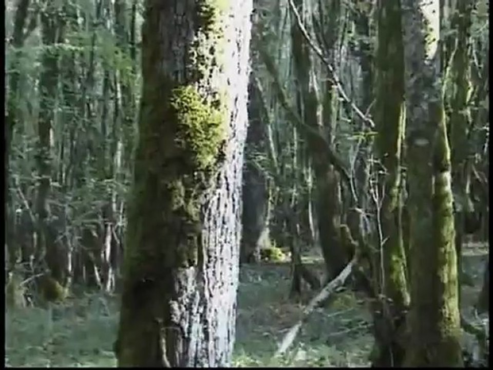 Clip Bernard Lagandogne