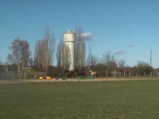 02.12.2012.m.integration.Laila