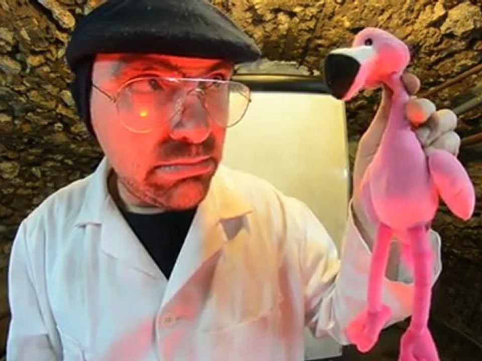 Papillon et Marcassin - épisode 11 - " Coming Out "