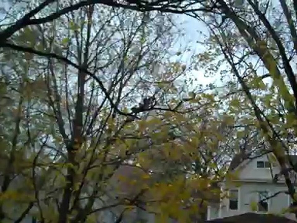 30 seconds of Peace: Autumn Breezes