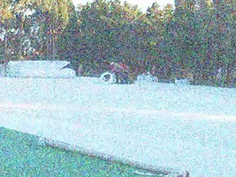 Νηρέας-Άγιαξ 2-3. Δηλώσεις Σταύρου Τριπολιτσιώτη