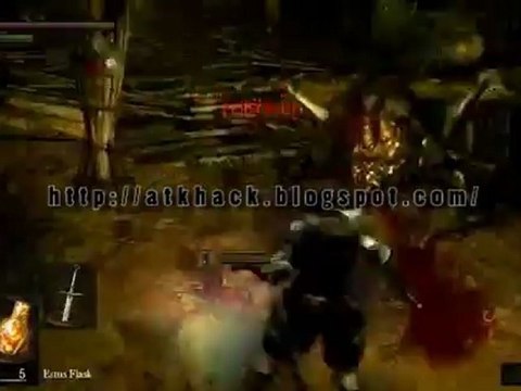Dark Souls Cheats|Working Hacks|Glitch|Bugs|2013
