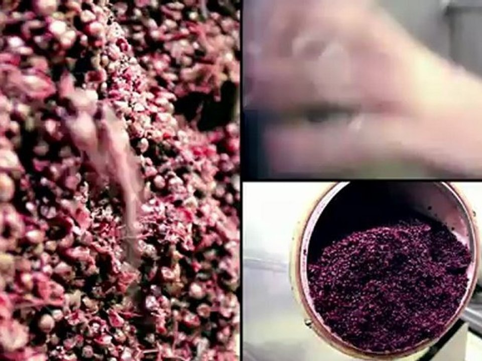 compilation giffard - novembre 2012