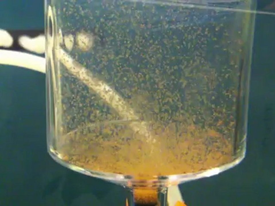 Artemia Çıkarma