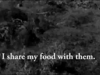 Sentenced To Death by Indifference