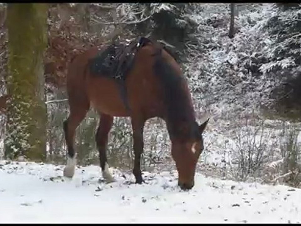 la neige