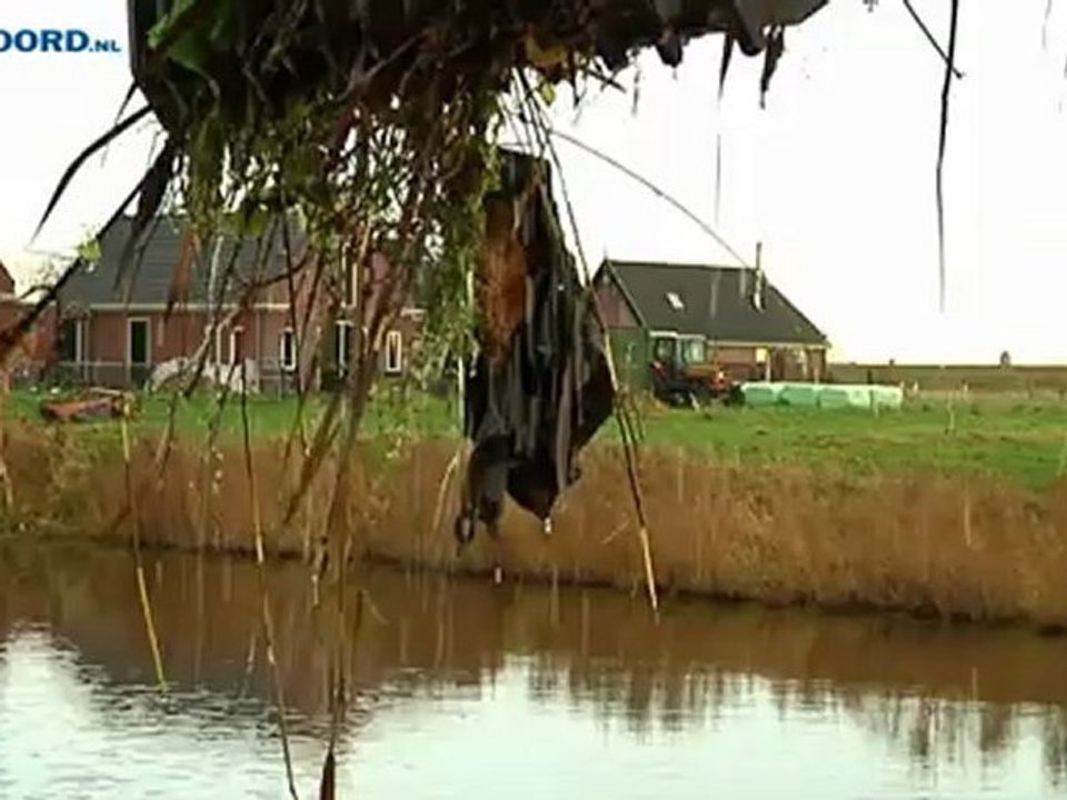 Plantenresten doen meer kwaad dan goed in biovergister - RTV Noord
