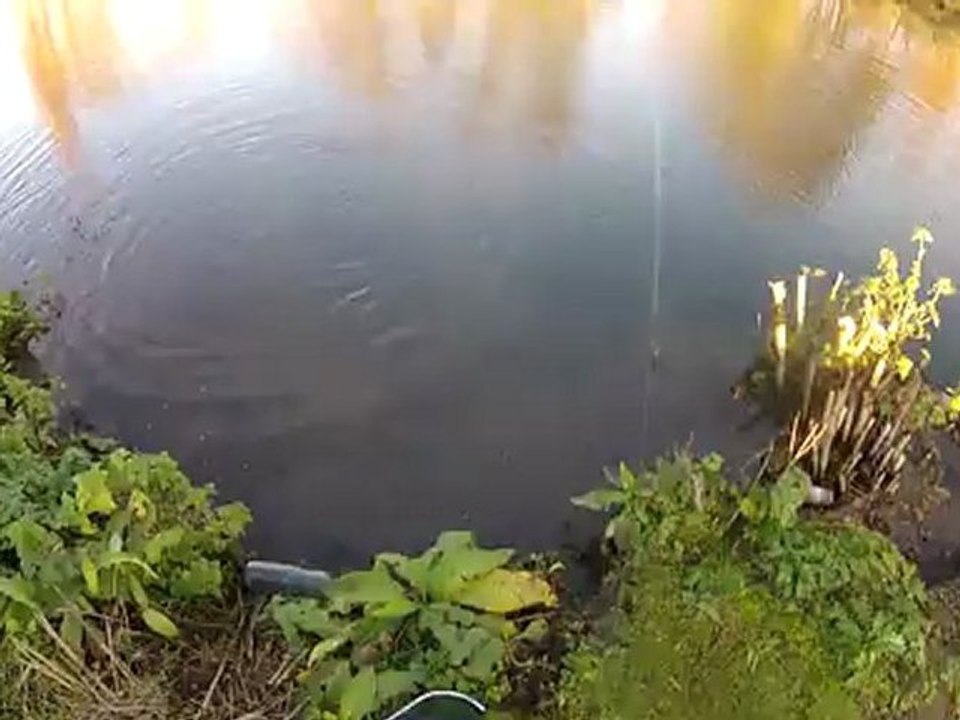 brochet 1 pêcheur 0