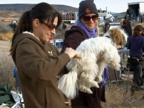 Colin Farrell on his new movie Seven Psychopaths
