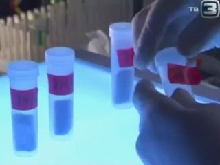 Неразгаданный мир. 7 Как начиналась жизнь