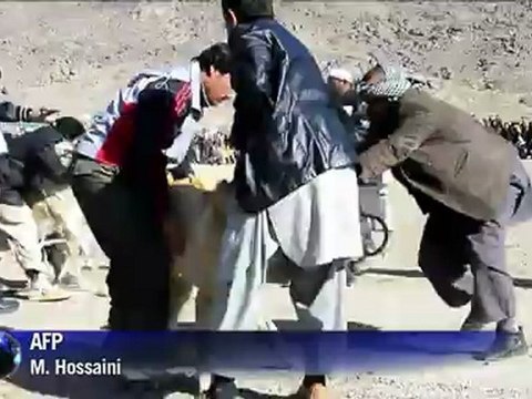 Dog fights draw in Kabul crowds