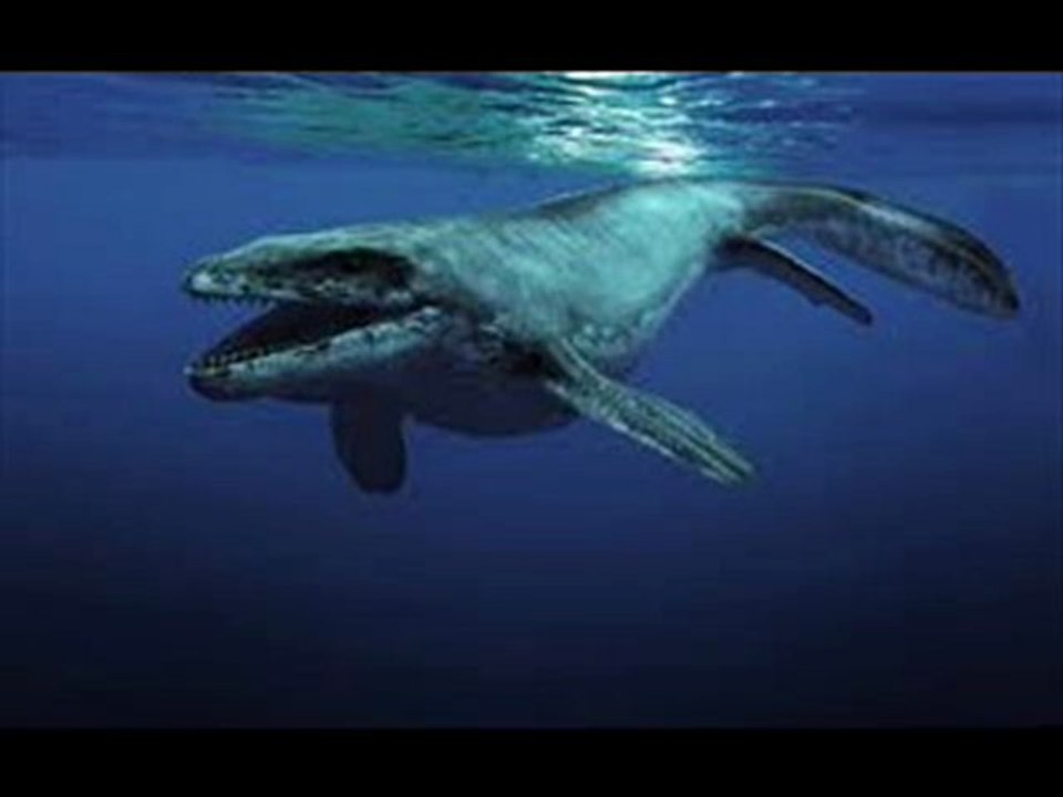Sea Rex 3D Movie Trailer Official HD