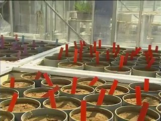 Plus de saisons pour les plantes