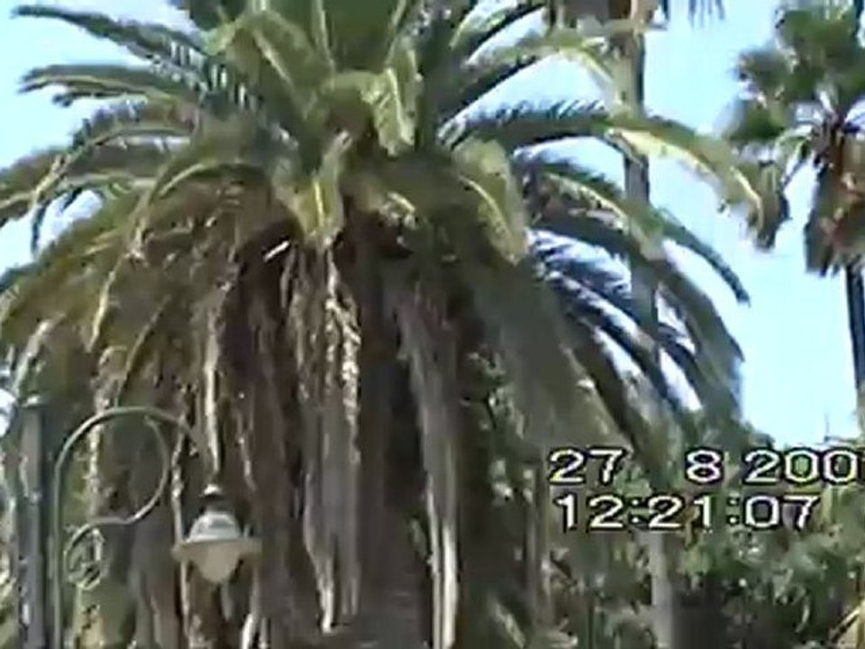Ταξίδι στη Κώ-Αλικαρνασσό