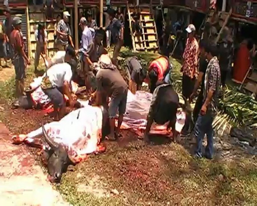 SACRIFICE AUX CELEBES