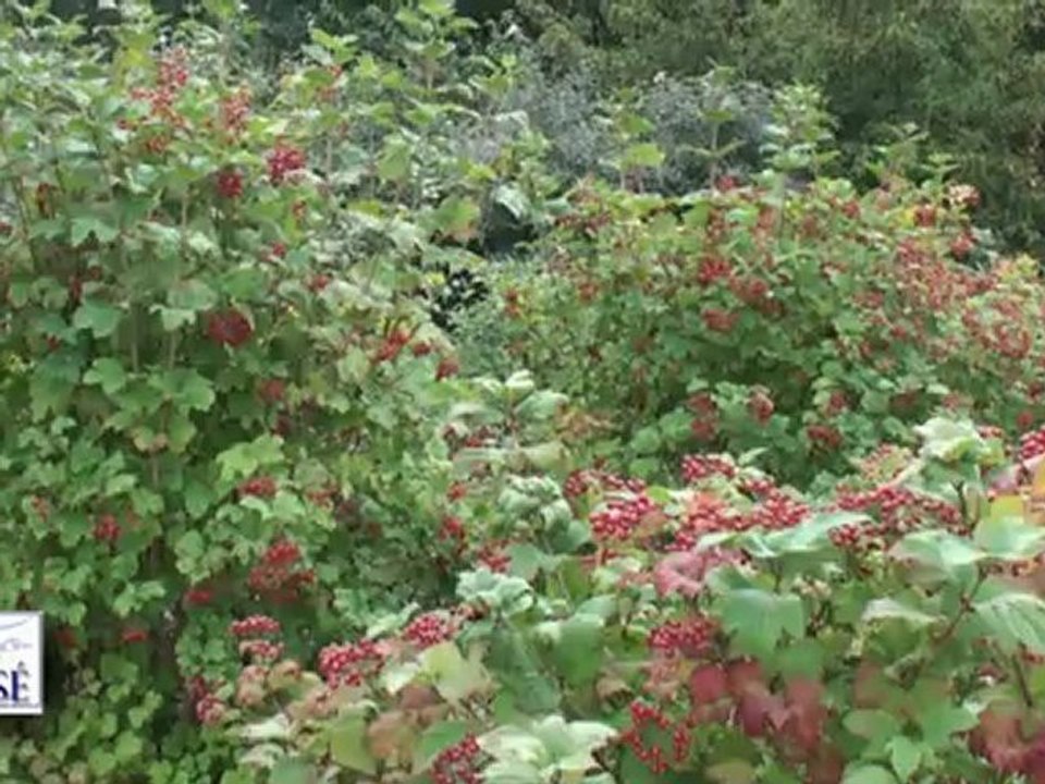L’arboretum de Cheratte Hauteurs