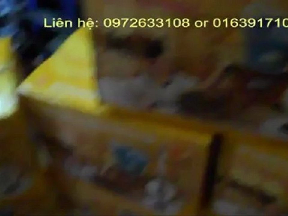 Cây lau nhà - Cây lau nhà 360 Quý phu nhân - chổi lau nhà 360 độ quý phu nhân