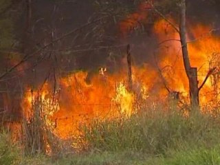 Heatwave in eastern Australia sparks bushfires