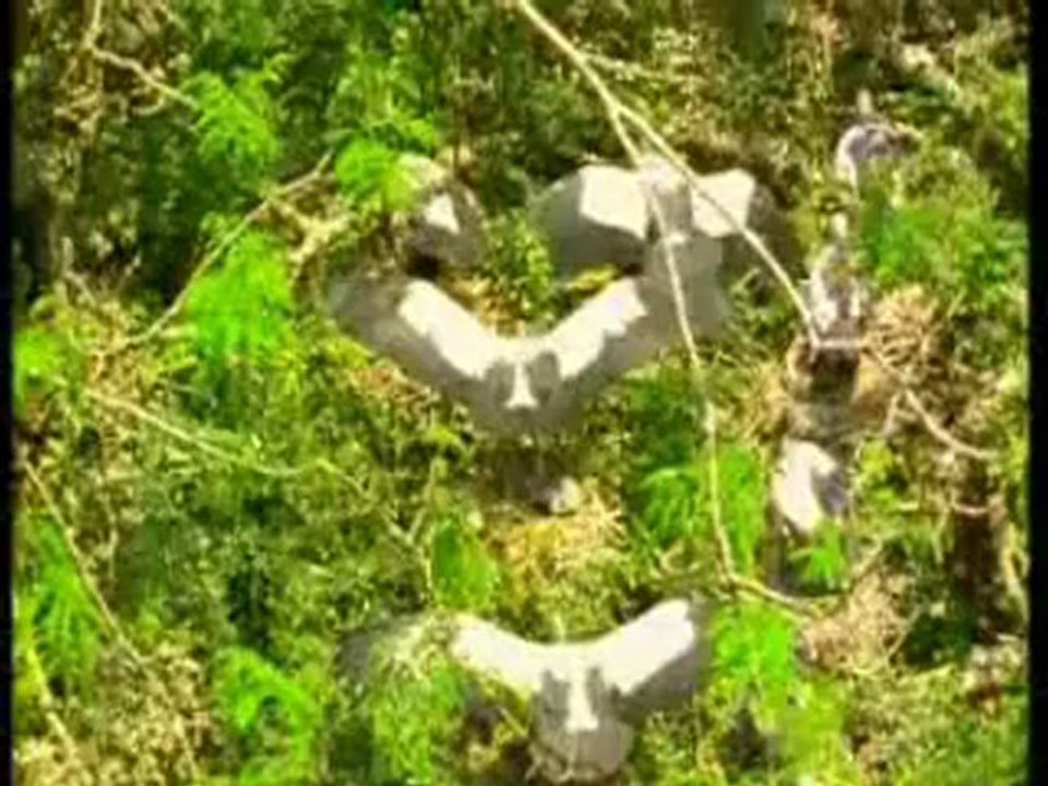 Ana mahnisi -Muslum Maqomayev