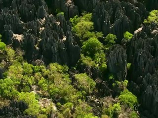 MADAGASCAR-Bande-annonce