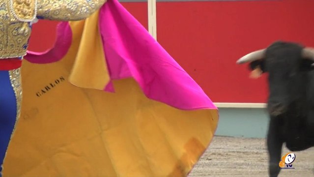 L'association Carcassonne toros a été chargée de l'organisation des corridas estivales à Carcassonne.