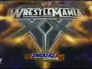 WWE Wrestlemania XX Smash-Up