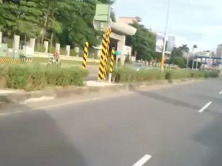 Loud Pipes Save Lives - True or False?