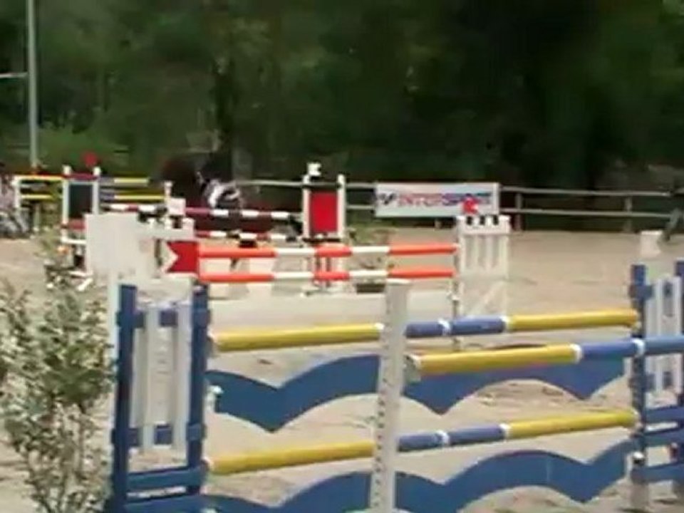 Palisandr Preignan GP 120