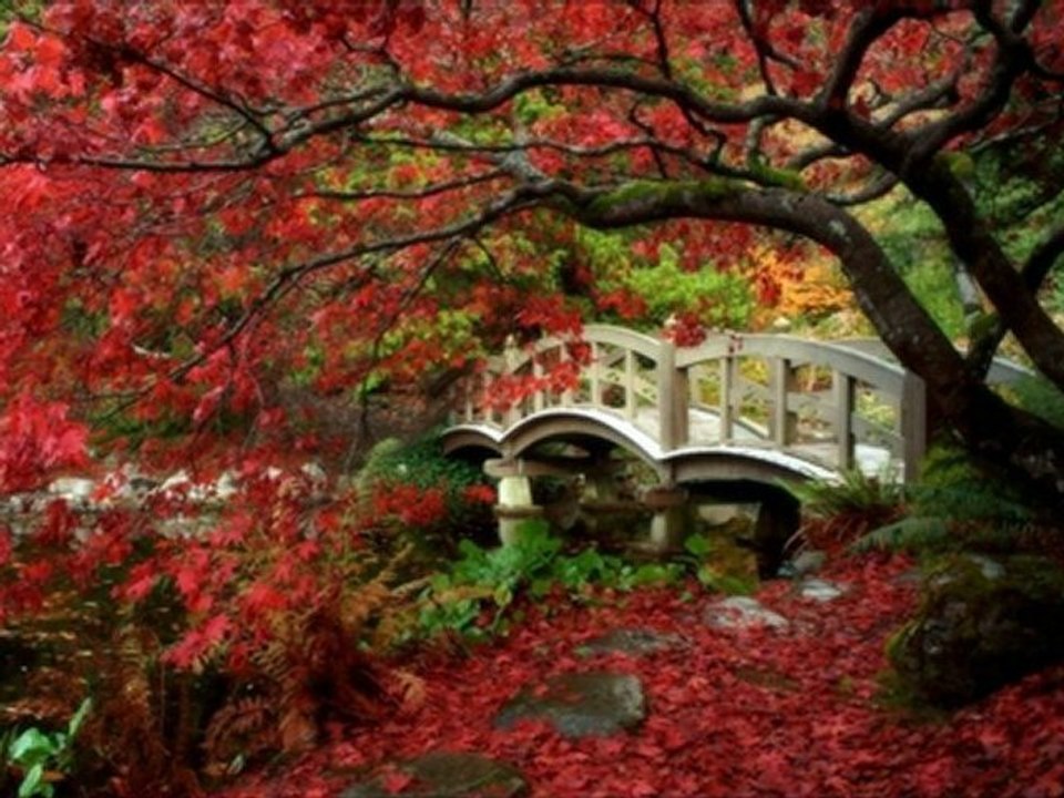 BİR GARİP YOLCU AYŞE TUNALI